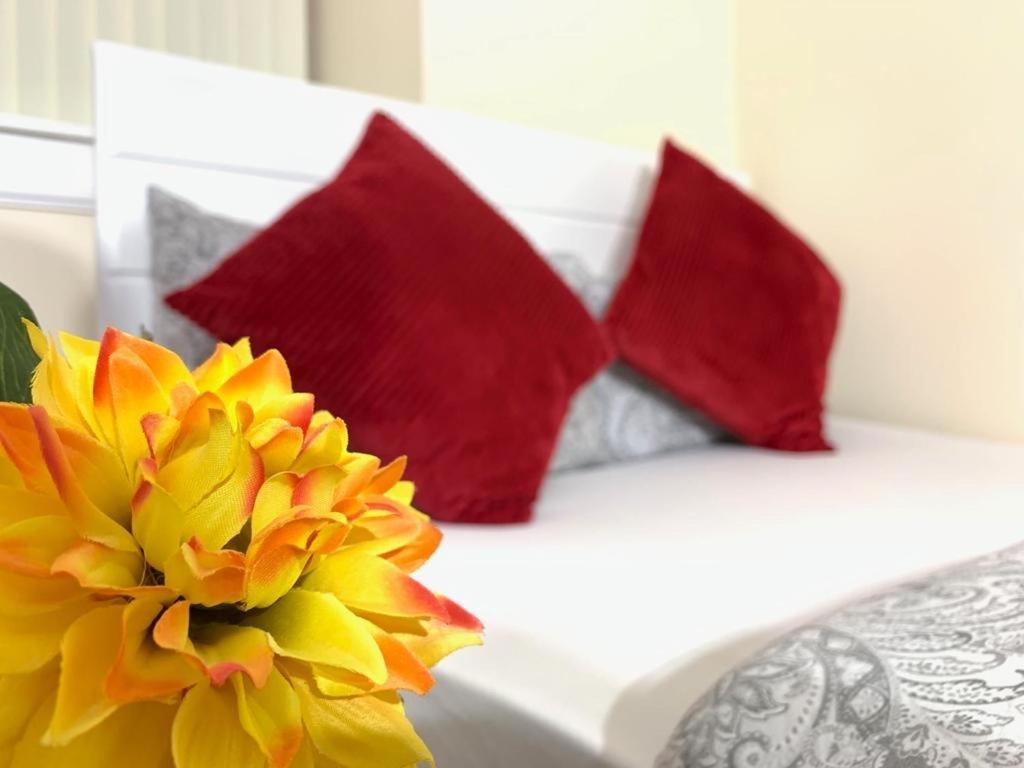 Edinburgh Ocean Inn Dış mekan fotoğraf